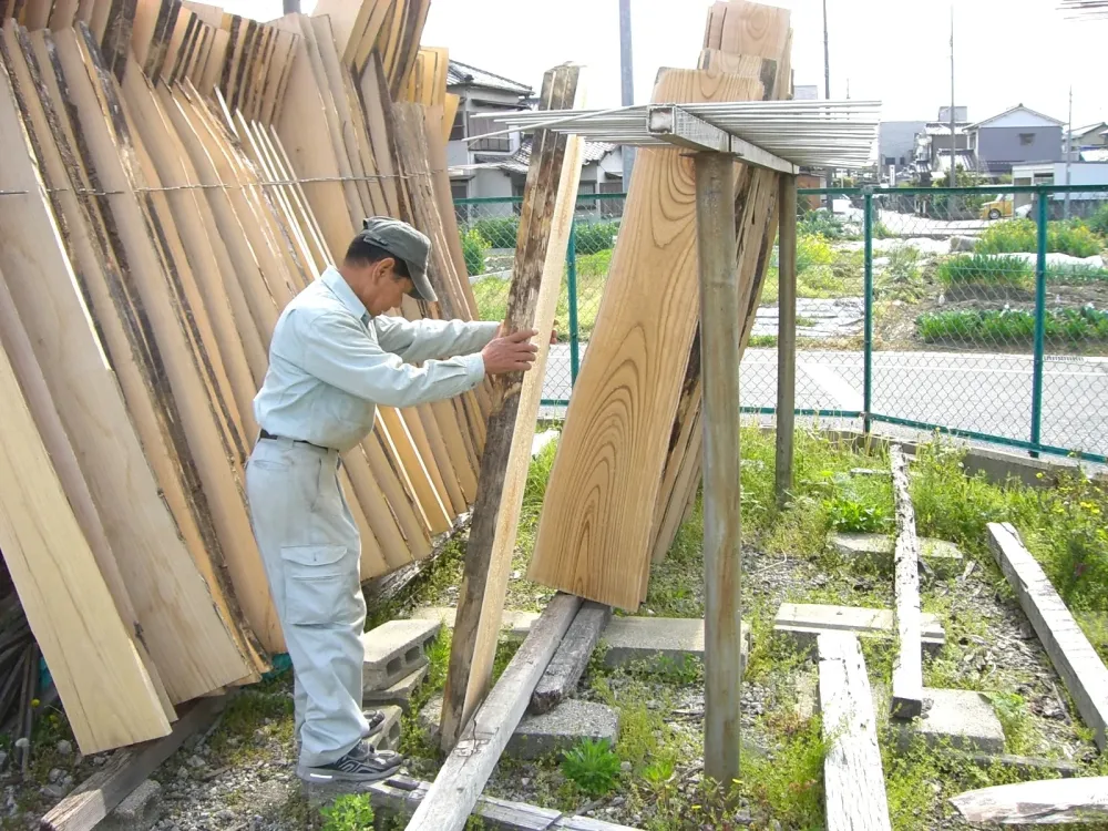 桐板干し場にて、桟状乾棚に1枚1枚丁寧に噛ませて干されます。